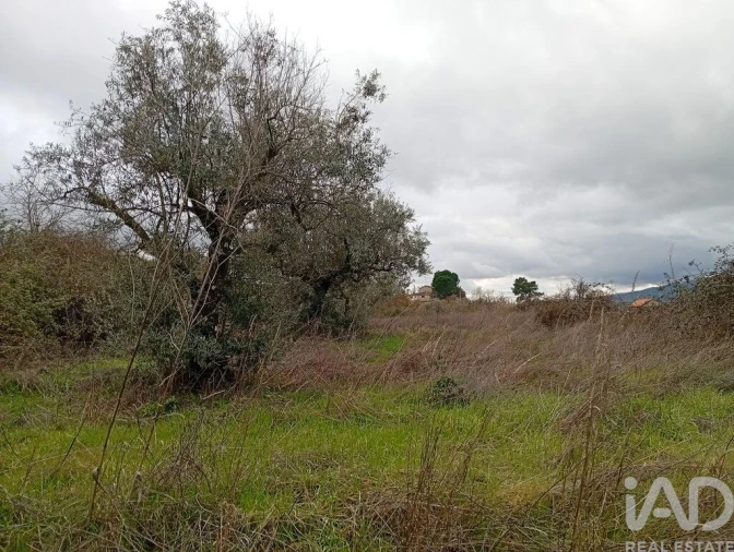 Quinta para Venda em Ferro Foto 14