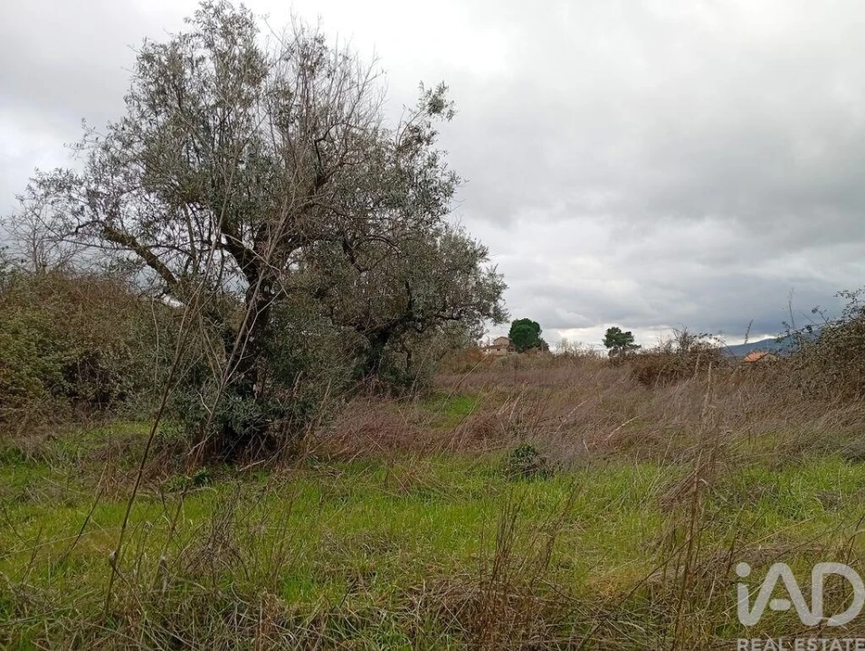 Quinta para Venda em Ferro Foto 14
