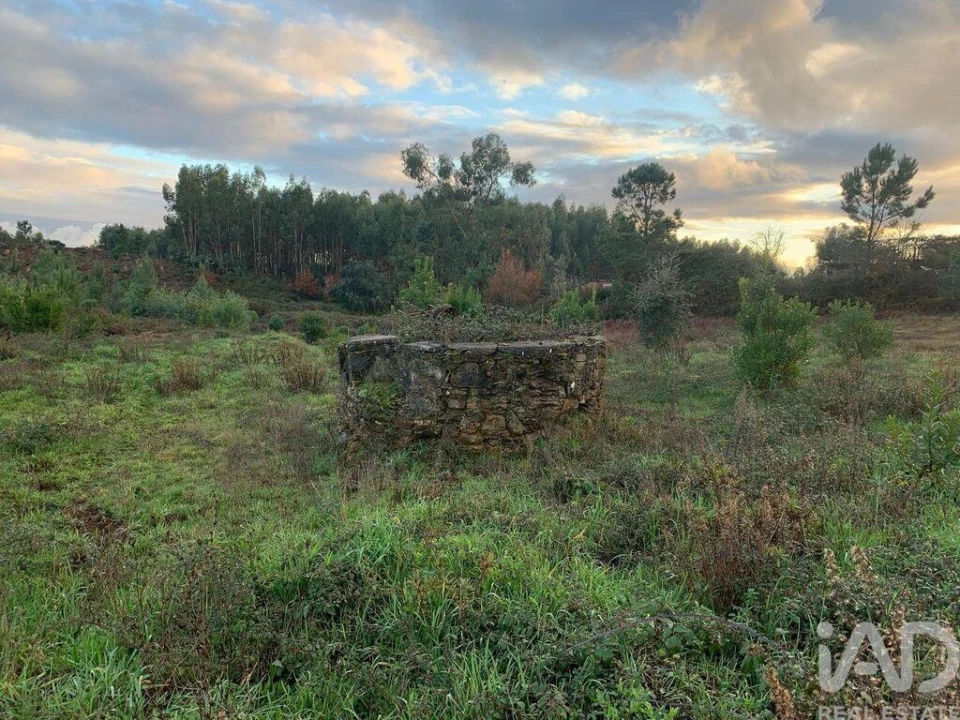 Moradia T3 para Venda em Pedrogão Grande Foto 3