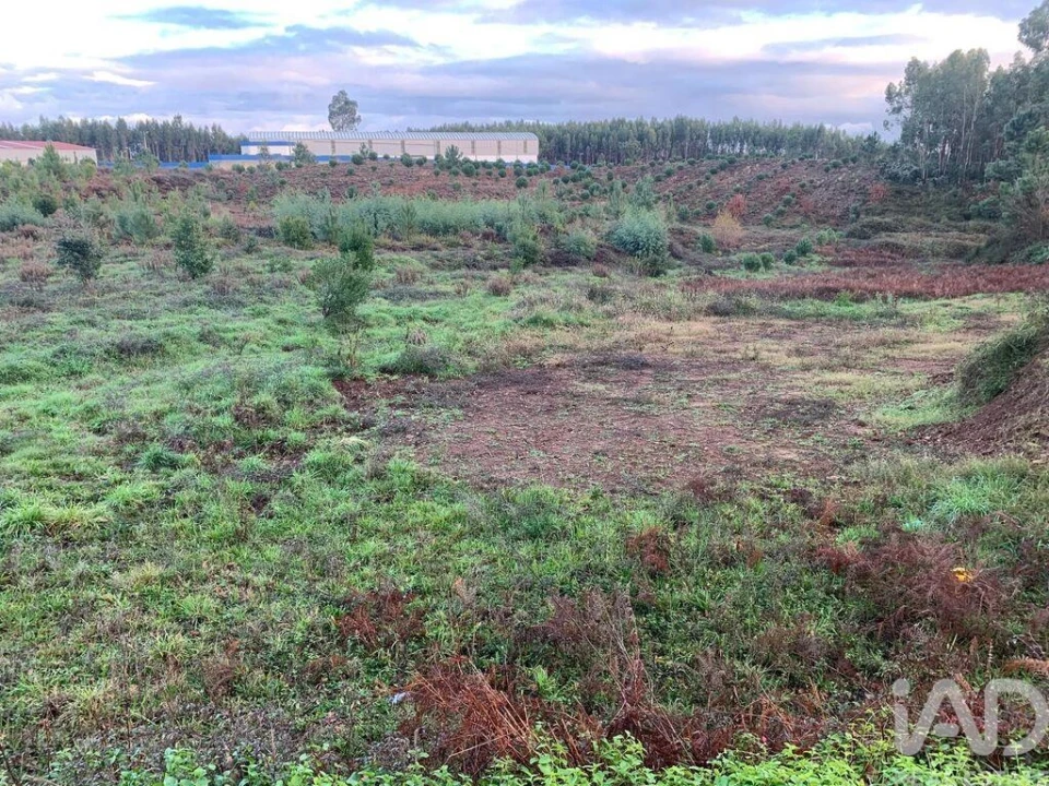 Moradia T3 para Venda em Pedrogão Grande Foto 16