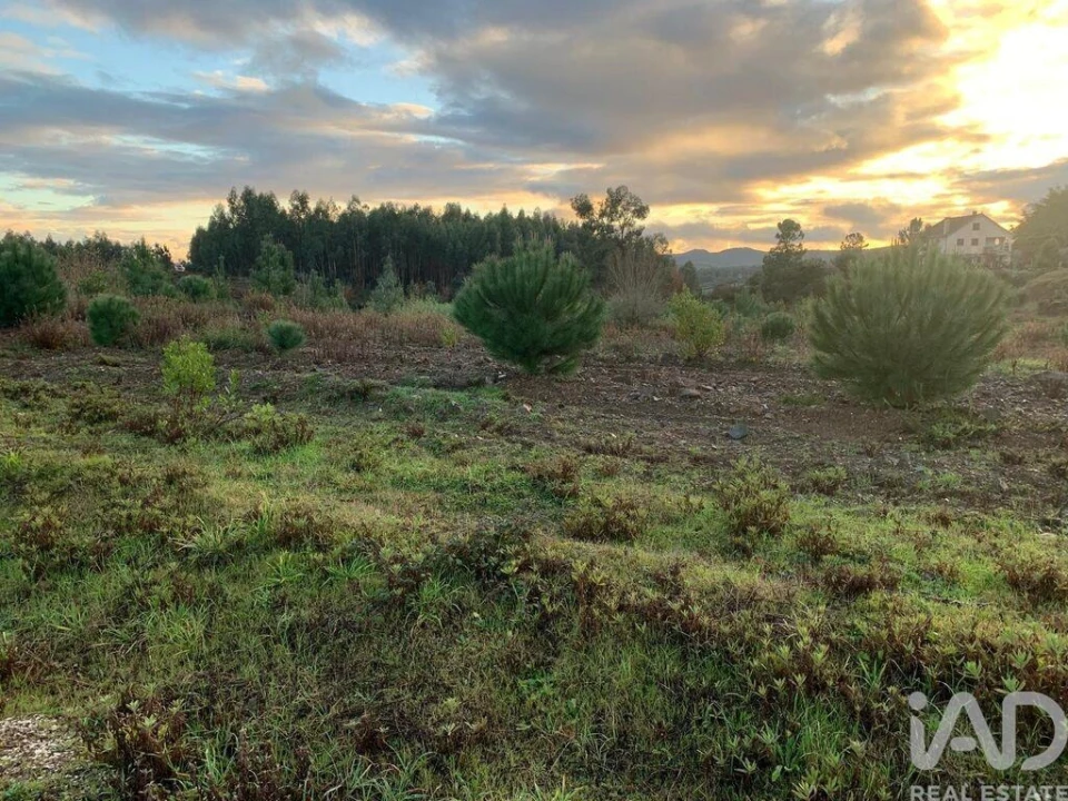 Moradia T3 para Venda em Pedrogão Grande Foto 8