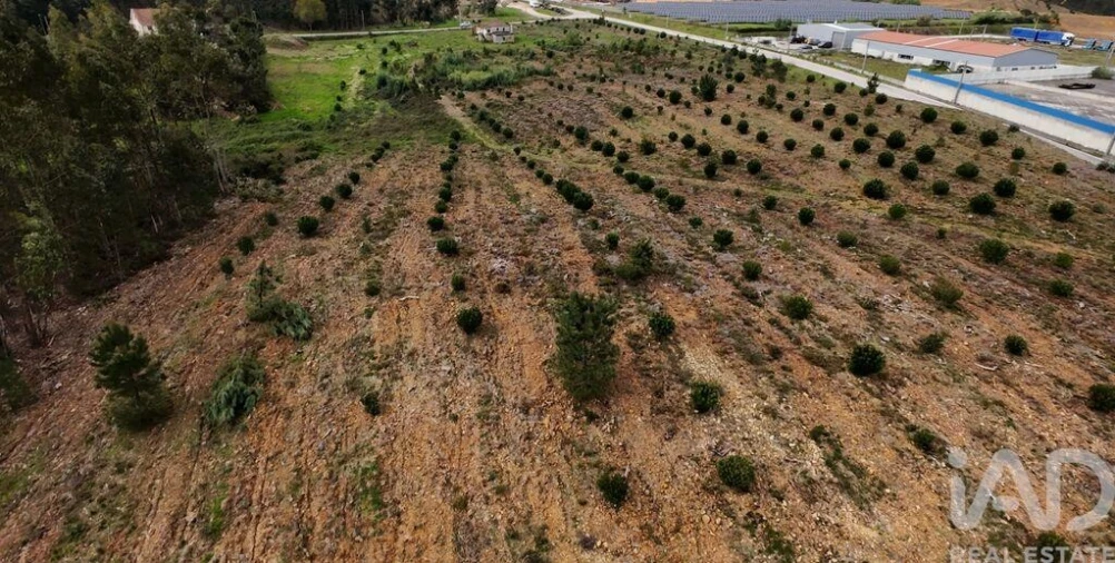 Moradia T3 para Venda em Pedrogão Grande Foto 32