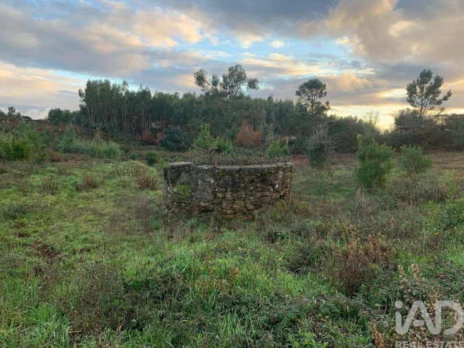 Moradia T3 para Venda em Pedrogão Grande Foto 3