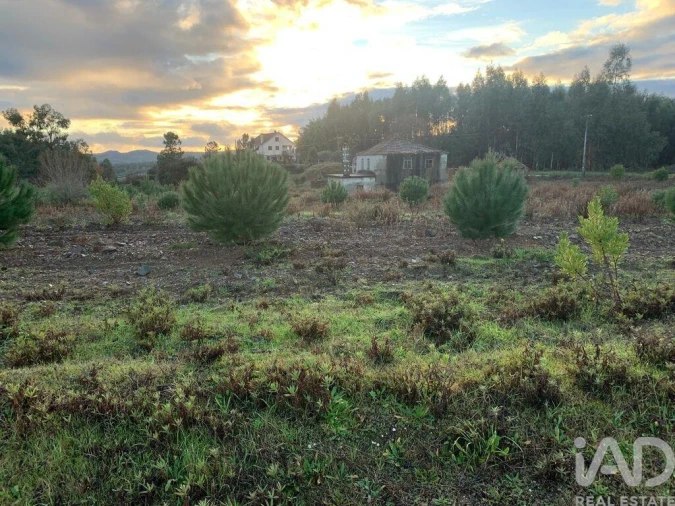 Moradia T3 para Venda em Pedrogão Grande Foto 9