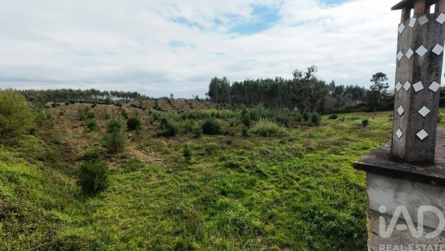 Moradia T3 para Venda em Pedrogão Grande Foto 40