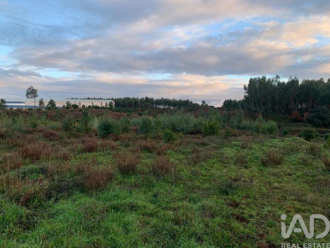 Moradia T3 para Venda em Pedrogão Grande Foto 6