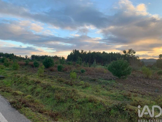 Moradia T3 para Venda em Pedrogão Grande Foto 10