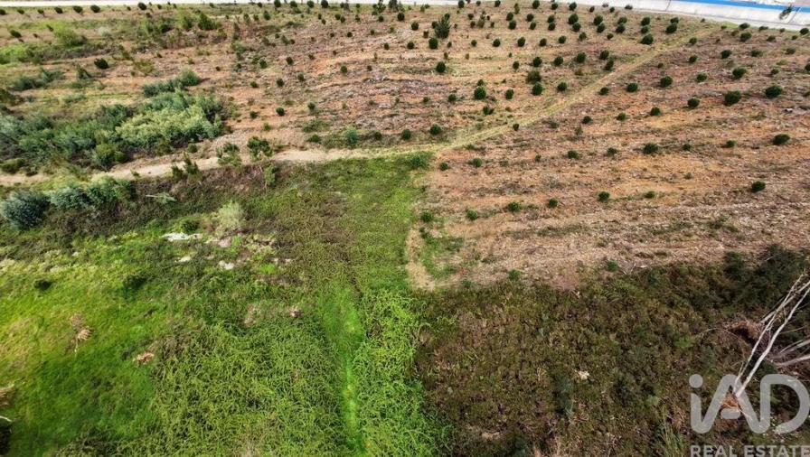 Moradia T3 para Venda em Pedrogão Grande Foto 31