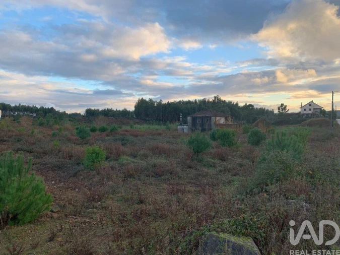 Moradia T3 para Venda em Pedrogão Grande Foto 24