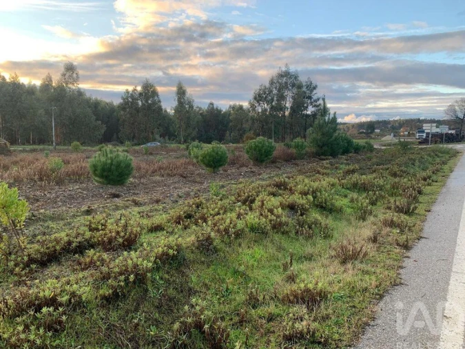 Moradia T3 para Venda em Pedrogão Grande Foto 12