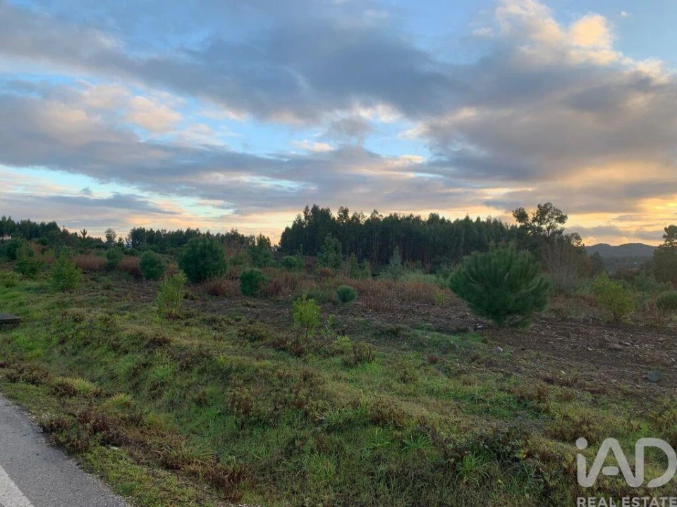 Moradia T3 para Venda em Pedrogão Grande Foto 10