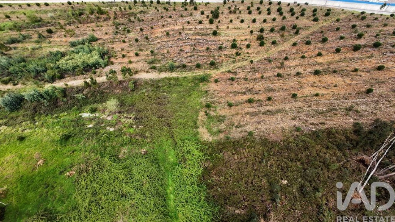 Moradia T3 para Venda em Pedrogão Grande Foto 31