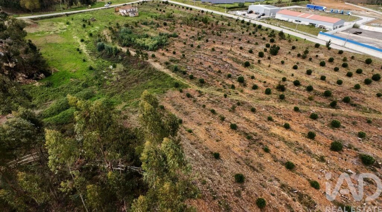 Moradia T3 para Venda em Pedrogão Grande Foto 26