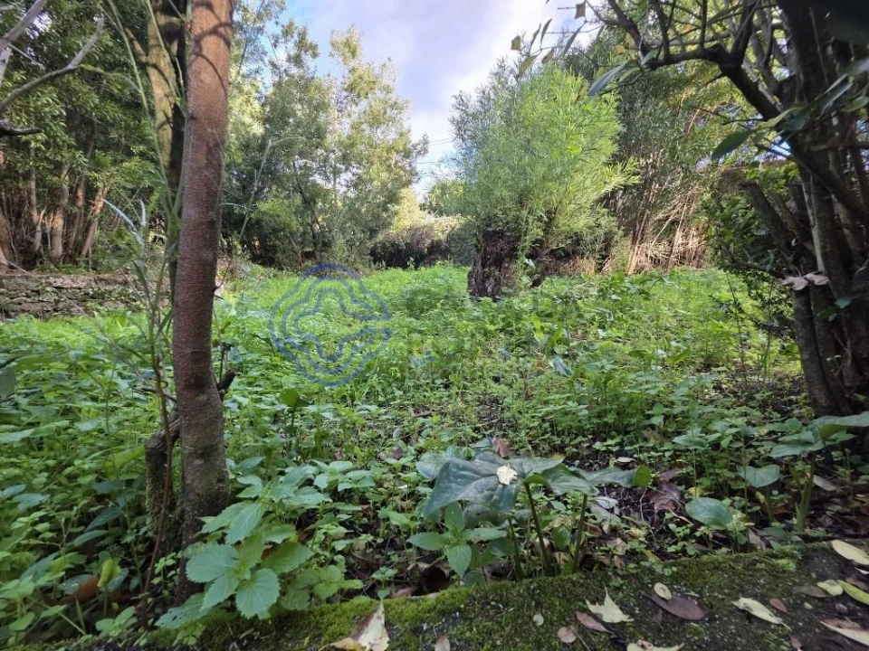 Terreno para Venda em Santo Tirso, Couto (Santa Cristina e São Miguel) e Burgães Foto 11