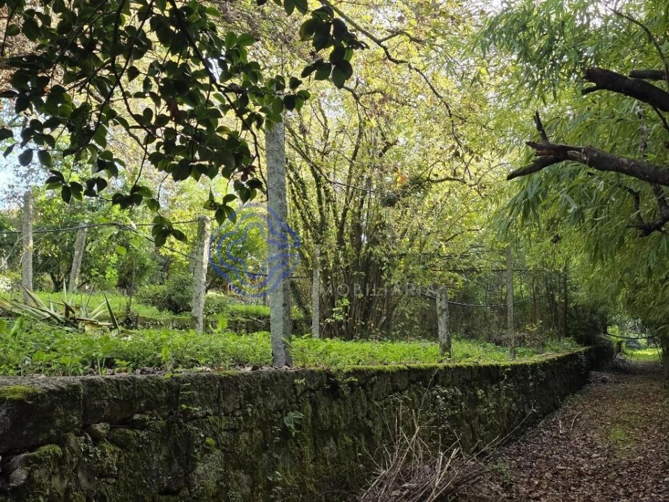 Terreno para Venda em Santo Tirso, Couto (Santa Cristina e São Miguel) e Burgães Foto 6