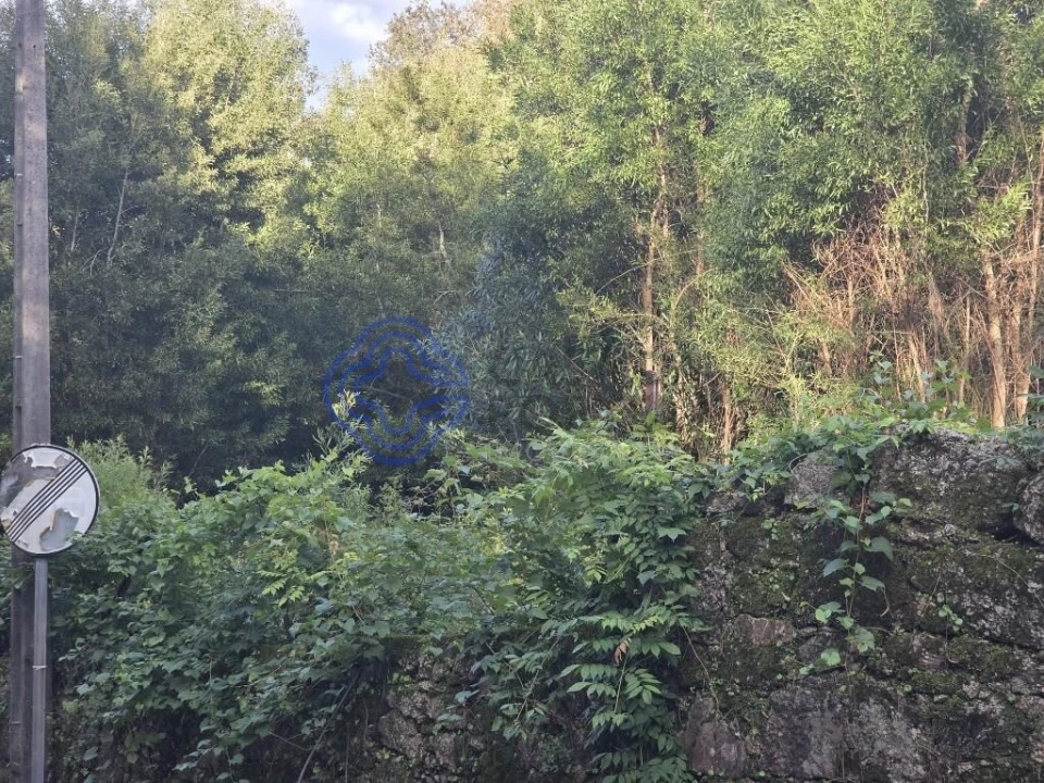 Terreno para Venda em Santo Tirso, Couto (Santa Cristina e São Miguel) e Burgães Foto 17