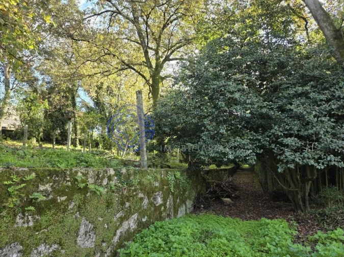 Terreno para Venda em Santo Tirso, Couto (Santa Cristina e São Miguel) e Burgães Foto 8