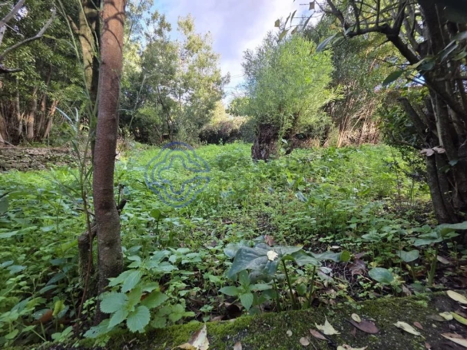 Terreno para Venda em Santo Tirso, Couto (Santa Cristina e São Miguel) e Burgães Foto 11