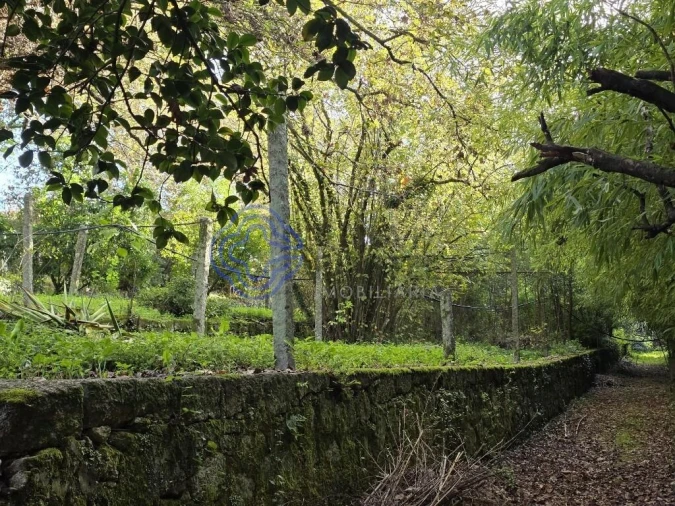 Terreno para Venda em Santo Tirso, Couto (Santa Cristina e São Miguel) e Burgães Foto 6