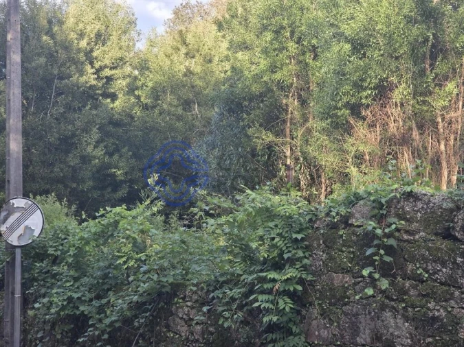 Terreno para Venda em Santo Tirso, Couto (Santa Cristina e São Miguel) e Burgães Foto 17