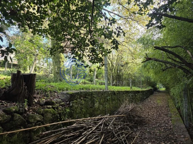Terreno para Venda em Santo Tirso, Couto (Santa Cristina e São Miguel) e Burgães Foto 5