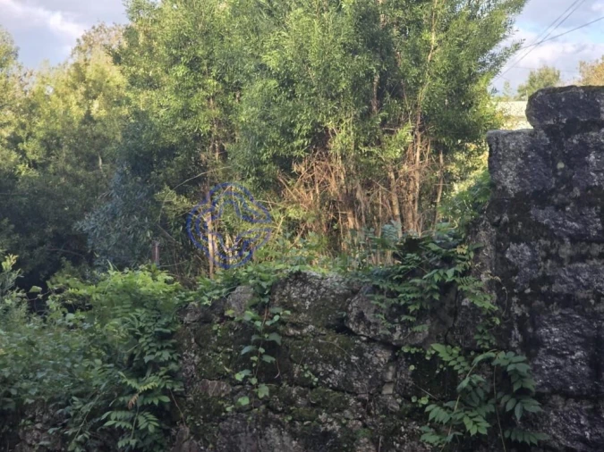 Terreno para Venda em Santo Tirso, Couto (Santa Cristina e São Miguel) e Burgães Foto 13