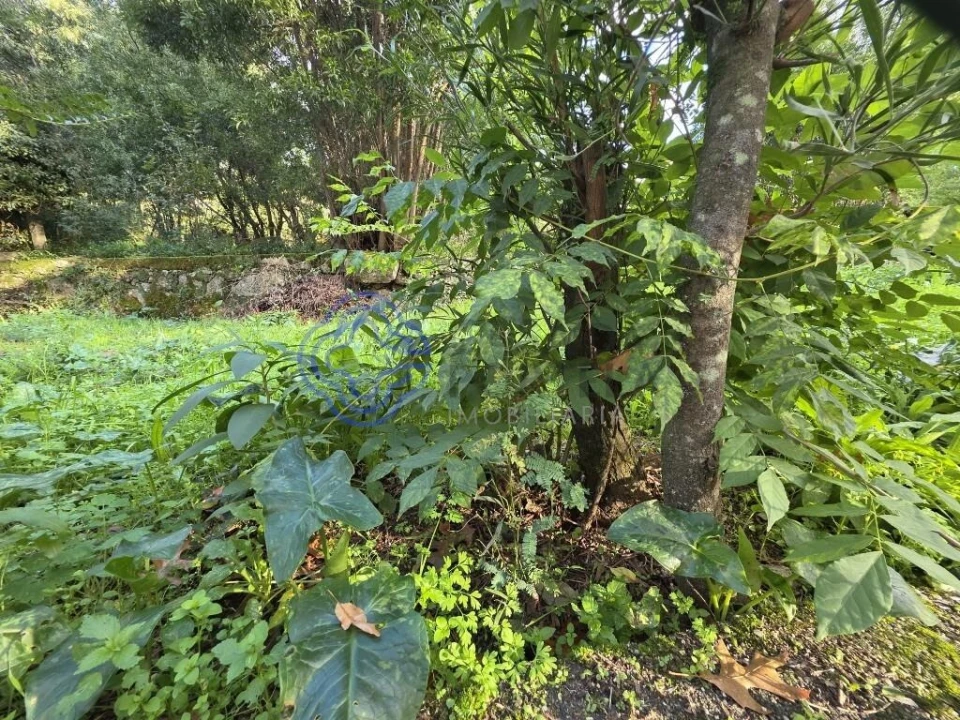 Terreno para Venda em Santo Tirso, Couto (Santa Cristina e São Miguel) e Burgães Foto 10