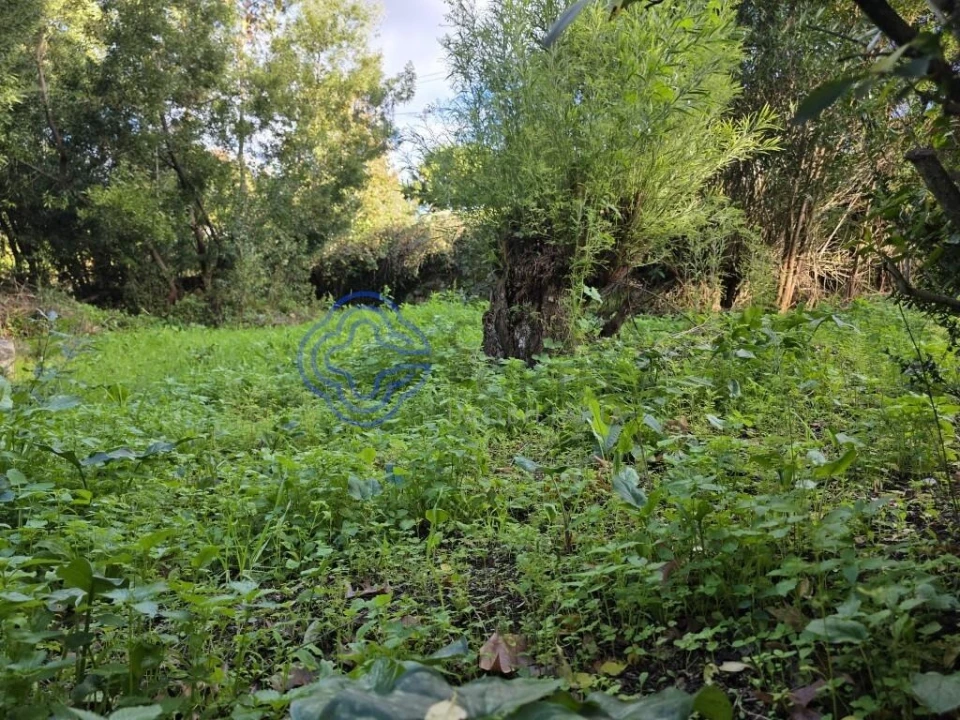 Terreno para Venda em Santo Tirso, Couto (Santa Cristina e São Miguel) e Burgães Foto 9