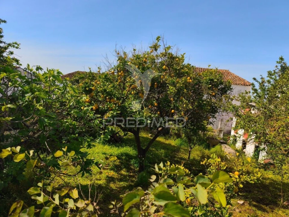 Moradia T5 para Venda em Paderne Foto 2