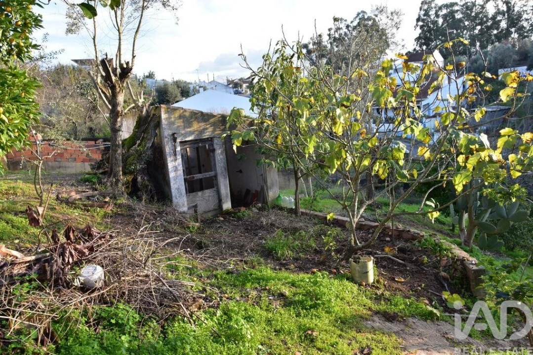 Moradia T2 para Venda em Chamusca e Pinheiro Grande Foto 10