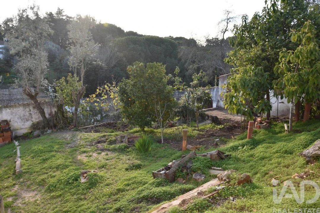 Moradia T2 para Venda em Chamusca e Pinheiro Grande Foto 8