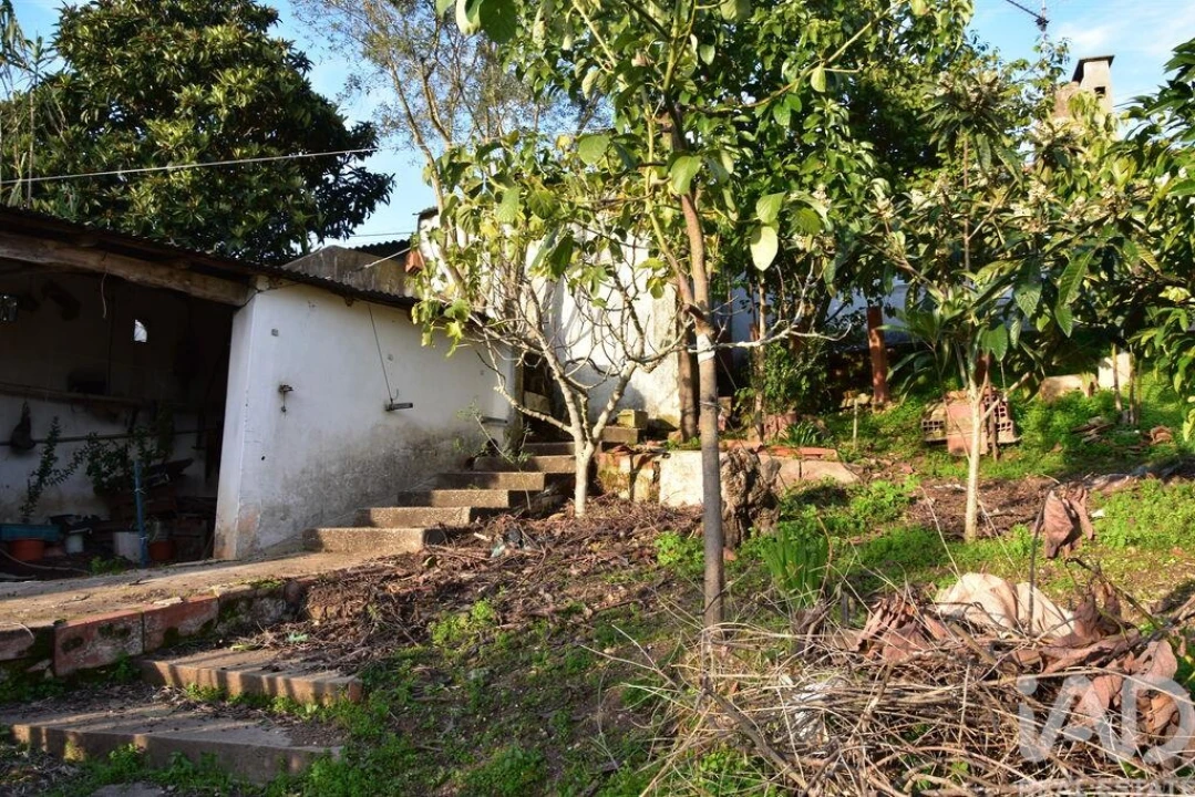 Moradia T2 para Venda em Chamusca e Pinheiro Grande Foto 12