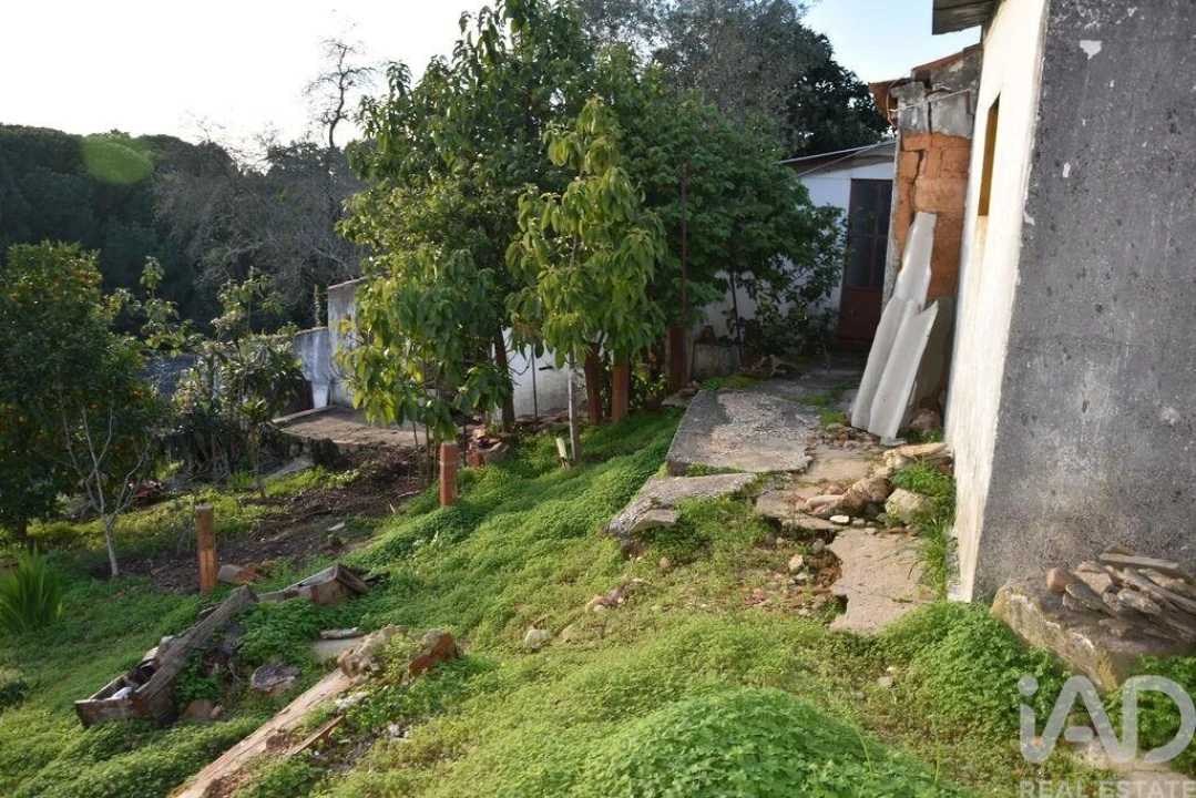 Moradia T2 para Venda em Chamusca e Pinheiro Grande Foto 9