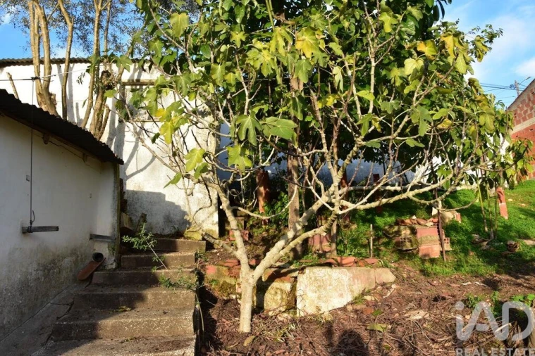 Moradia T2 para Venda em Chamusca e Pinheiro Grande Foto 4