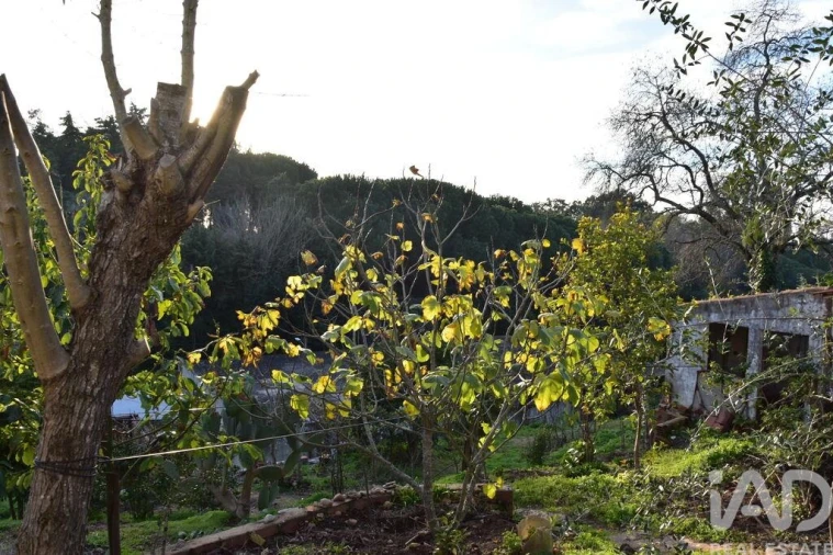 Moradia T2 para Venda em Chamusca e Pinheiro Grande Foto 13