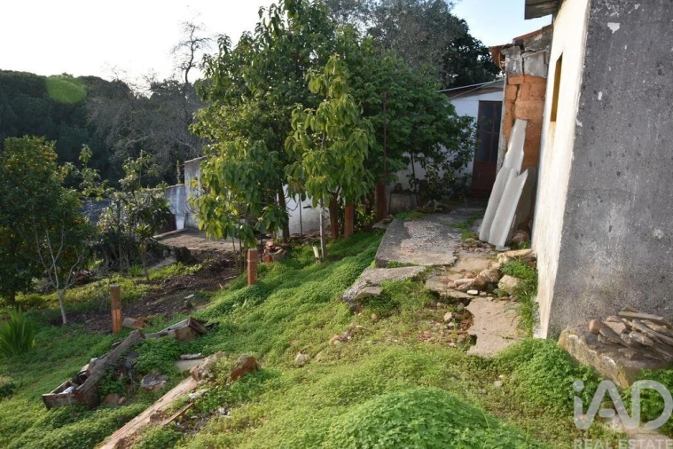 Moradia T2 para Venda em Chamusca e Pinheiro Grande Foto 9