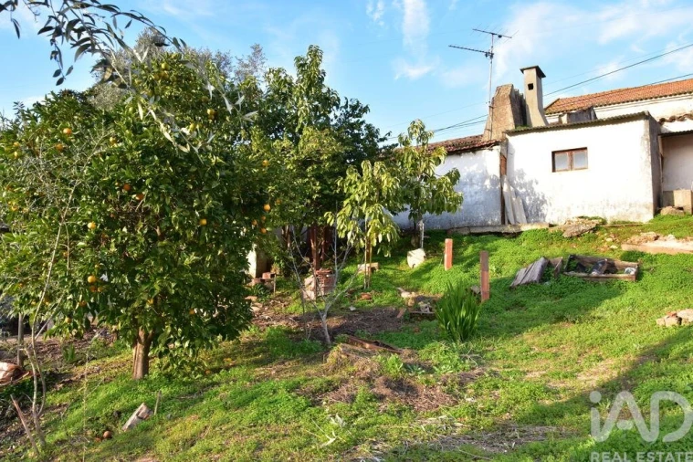 Moradia T2 para Venda em Chamusca e Pinheiro Grande Foto 38