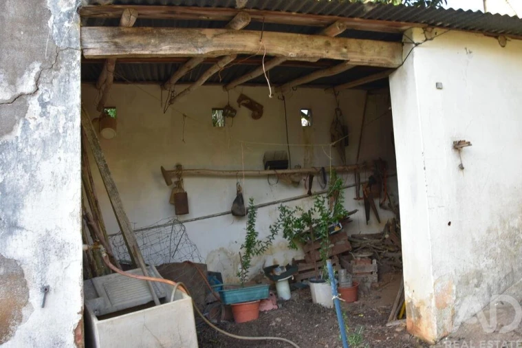 Moradia T2 para Venda em Chamusca e Pinheiro Grande Foto 15