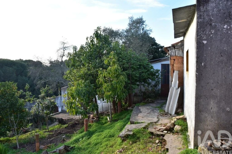 Moradia T2 para Venda em Chamusca e Pinheiro Grande Foto 7