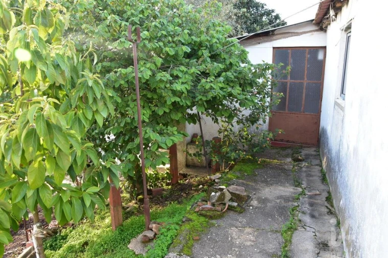 Moradia T2 para Venda em Chamusca e Pinheiro Grande Foto 3