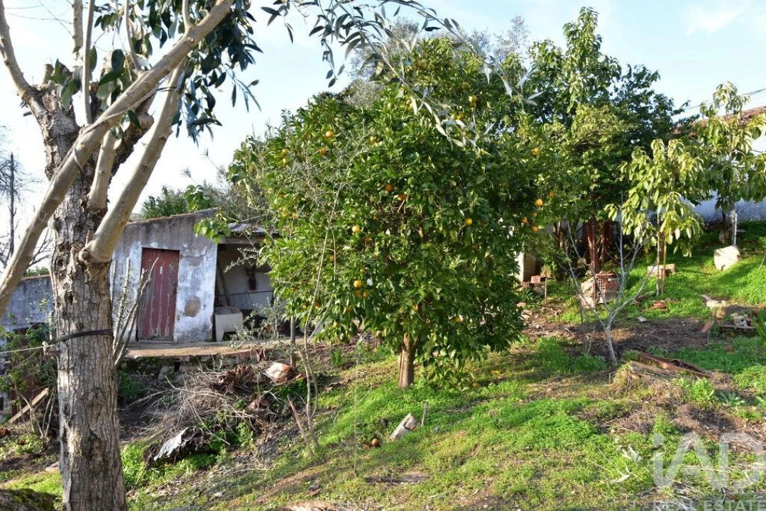 Moradia T2 para Venda em Chamusca e Pinheiro Grande Foto 2