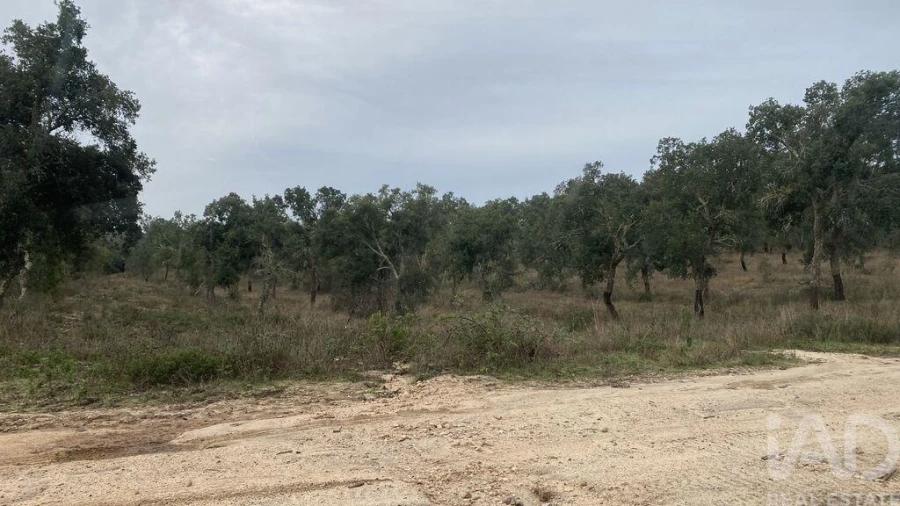 Quinta para Venda em Ponte de Sor, Tramaga e Vale de Açor Foto 3