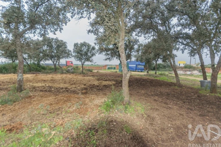 Quinta T4 para Venda em Azambujeira e Malaqueijo Foto 35