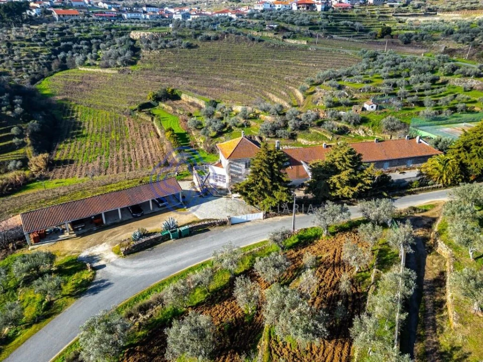 Quinta T9 para Venda em Santa Eugenia Foto 10