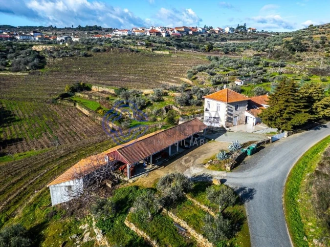 Quinta T9 para Venda em Santa Eugenia Foto 9