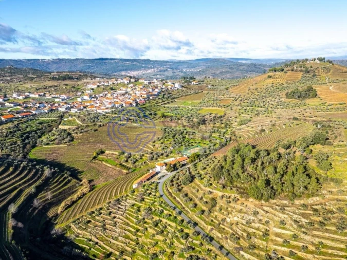 Quinta T9 para Venda em Santa Eugenia Foto 1