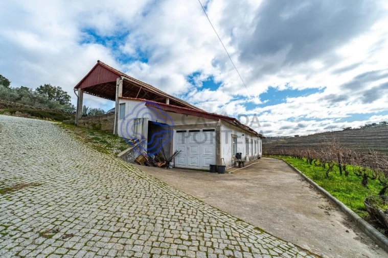 Quinta T9 para Venda em Santa Eugenia Foto 18