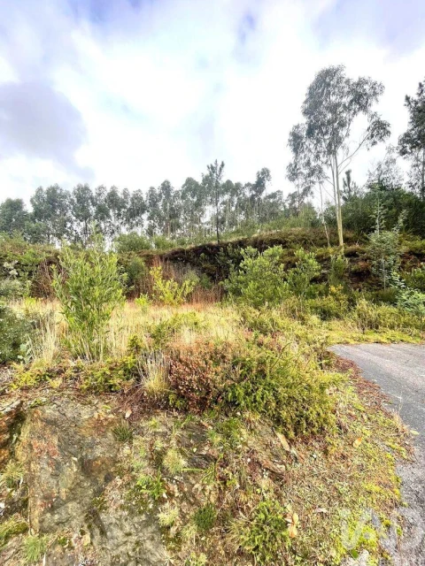 Terreno para Venda em Outeiro