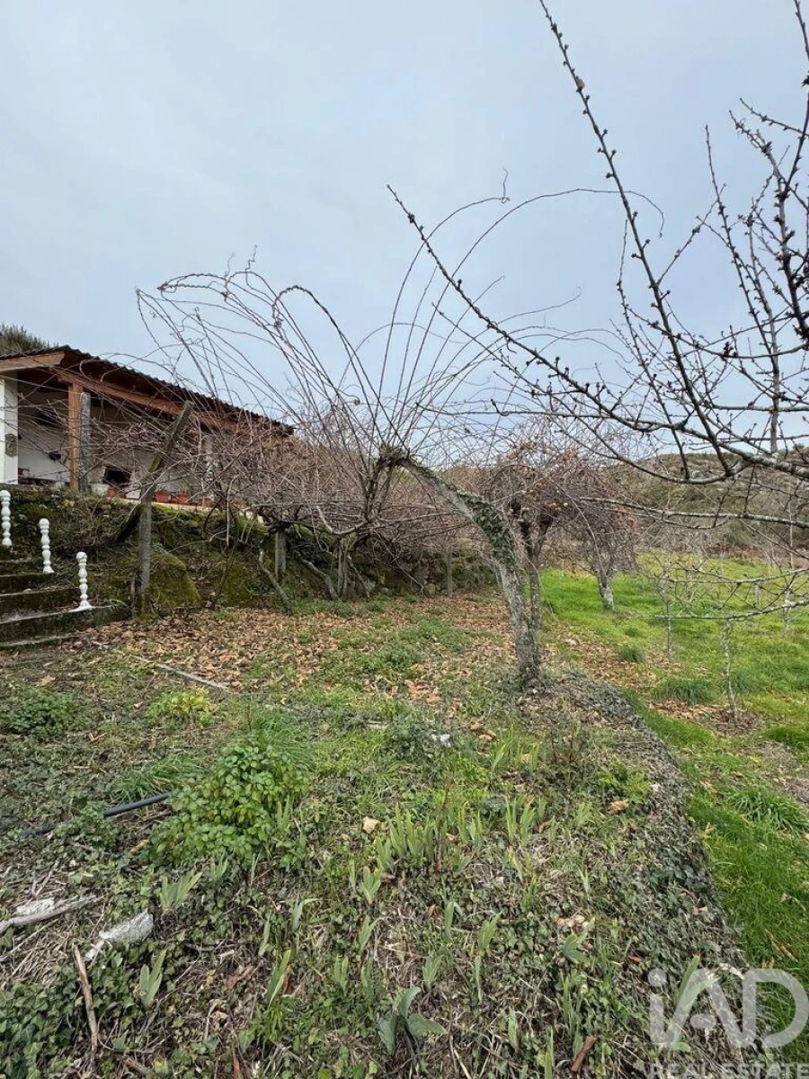 Quinta T2 para Venda em Fornelo do Monte Foto 16