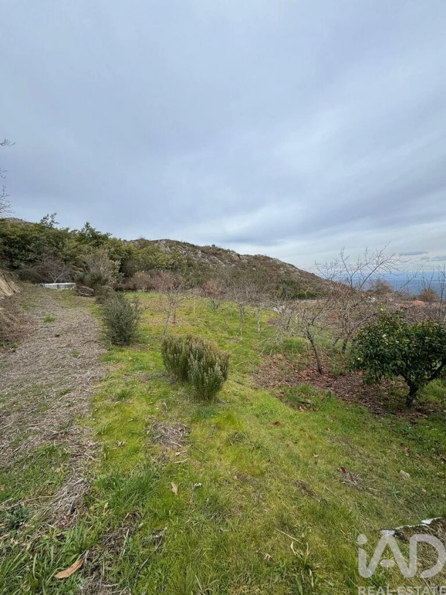 Quinta T2 para Venda em Fornelo do Monte Foto 23